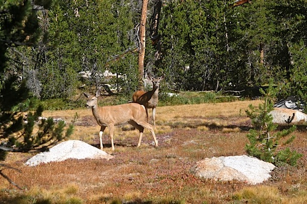 IMG_6863.jpg