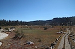 IMG_6871.jpg