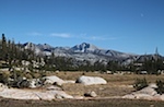 IMG_6872.jpg