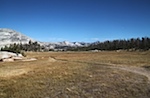 IMG_6873.jpg