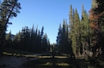 IMG_6879.jpg
