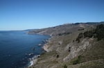 IMG_7535.jpg