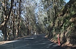IMG_7551.jpg