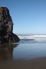 IMG_7594.jpg