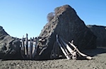 IMG_7598.jpg