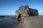 IMG_7600.jpg