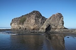 IMG_7604.jpg
