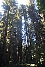 IMG_7615.jpg