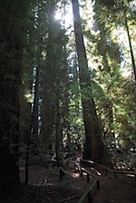 IMG_7620.jpg