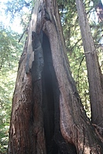 IMG_7621.jpg