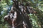 IMG_7622.jpg