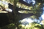 IMG_7623.jpg