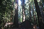IMG_7624.jpg