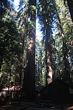 IMG_7625.jpg