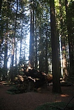IMG_7637.jpg