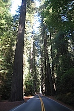 IMG_7638.jpg