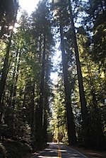 IMG_7639.jpg