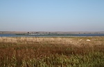 IMG_9492