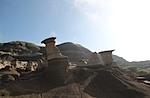 IMG_9546