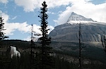 _MG_2121.jpg