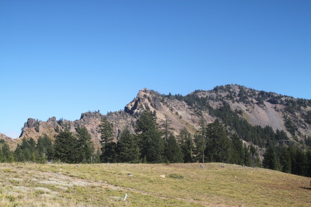 IMG_7881.jpg