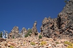 IMG_7906.jpg