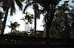 IMG_0965.jpg
