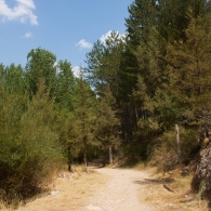 2026_08_19_SebastienChion_Espagnee2026__13574