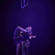 Rue du Pourquoi Pas?