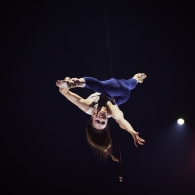 Rue du Pourquoi Pas?