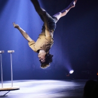 Rue du Pourquoi Pas?