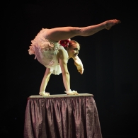 Rue du Pourquoi Pas?