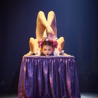 Rue du Pourquoi Pas?