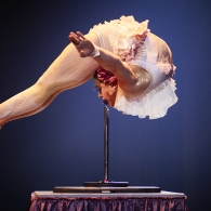 Rue du Pourquoi Pas?