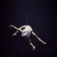 Rue du Pourquoi Pas?