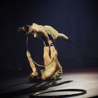 Rue du Pourquoi Pas?