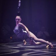 Rue du Pourquoi Pas?