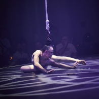 Rue du Pourquoi Pas?