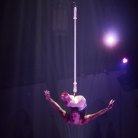 Rue du Pourquoi Pas?