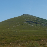 2026_08_11_SebastienChion_Espagnee2026__10566